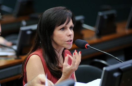 Professora Dorinha. Foto: Lúcio Bernardo Jr/Câmara dos Deputados